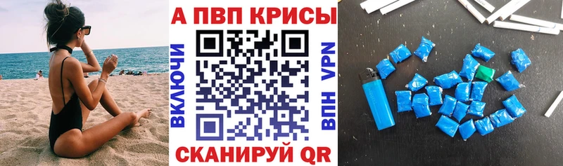 OMG ссылки Свободный Alpha PVP СК