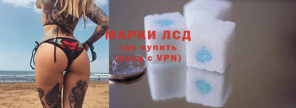 spice Аркадак