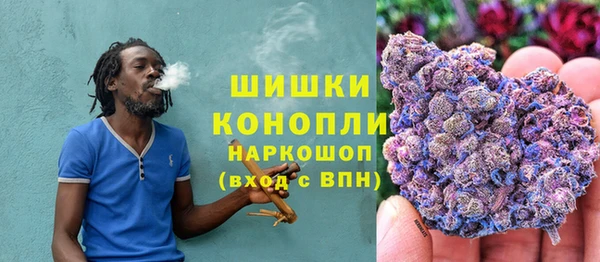 spice Аркадак