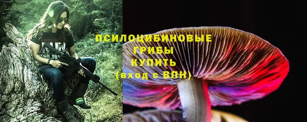 гидра Армянск